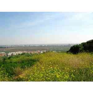 Click para ampliar. Pulsa en el nombre para ver la ficha. Carambolo 04_La Vega desde El Carambolo